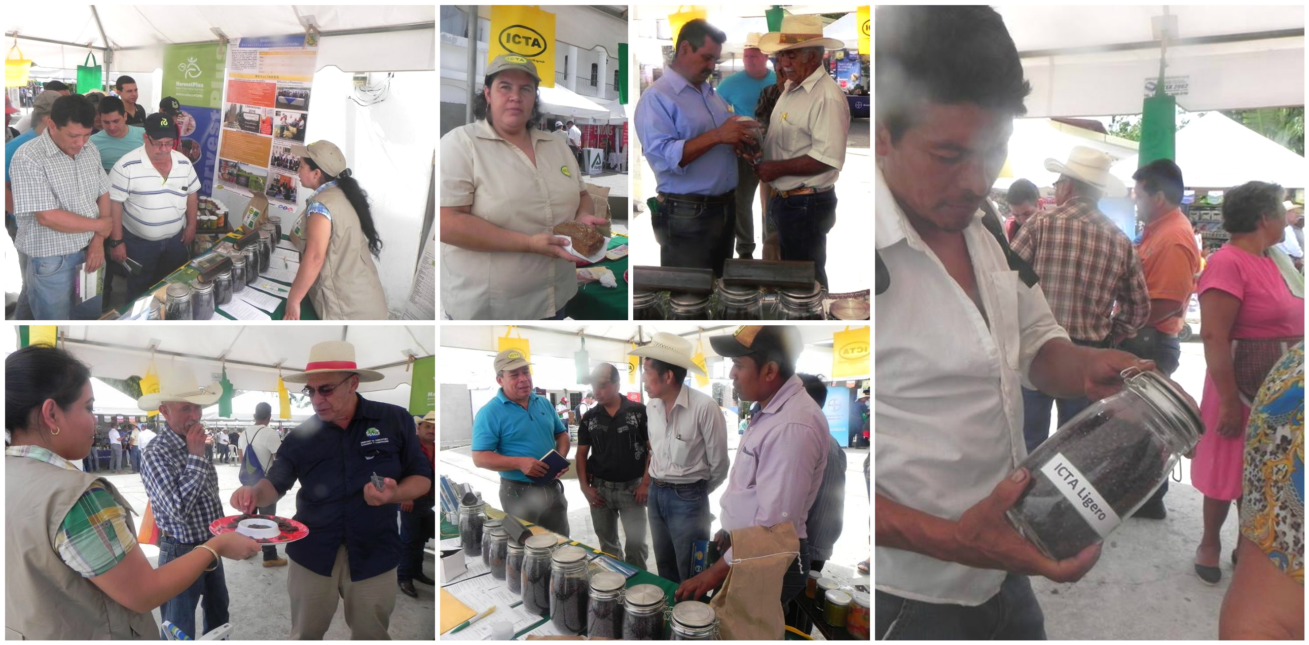 ICTA compartió experiencias con agricultores en la II Feria del Frijol